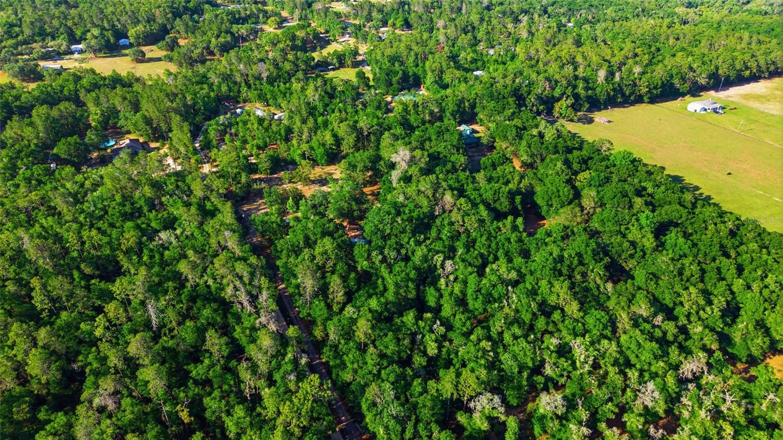 Image 42 of 49 For 15700 Doe Trail