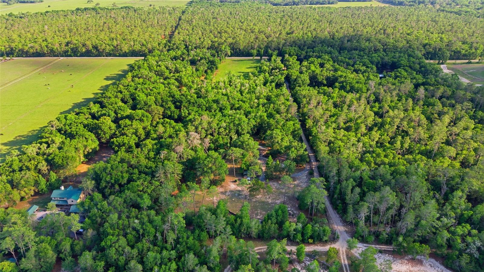 Image 45 of 49 For 15700 Doe Trail