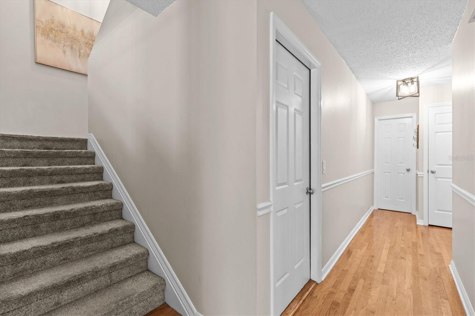 Image 21 of 45 For 5203 Bayshore Boulevard 14