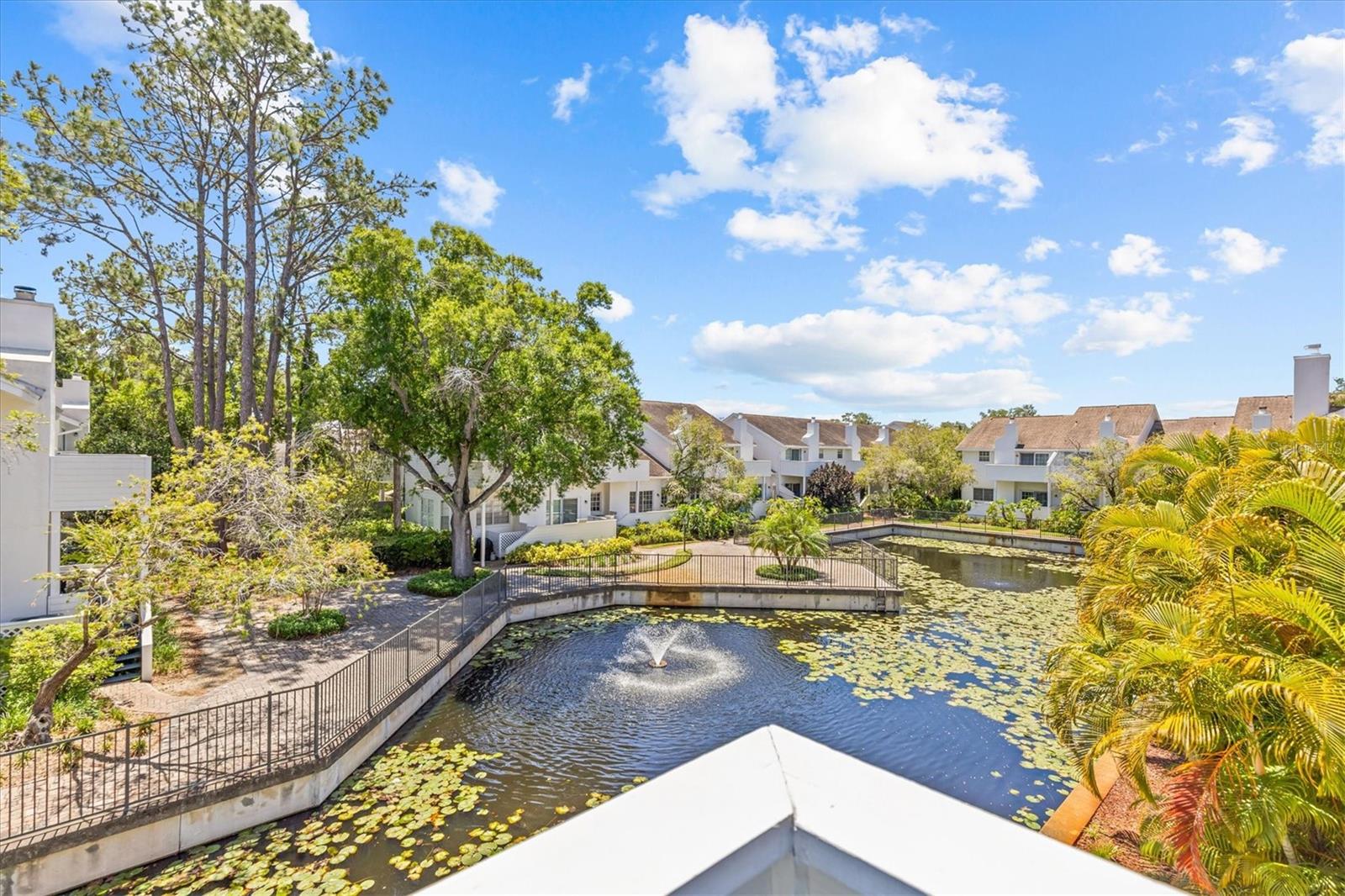 Image 25 of 45 For 5203 Bayshore Boulevard 14