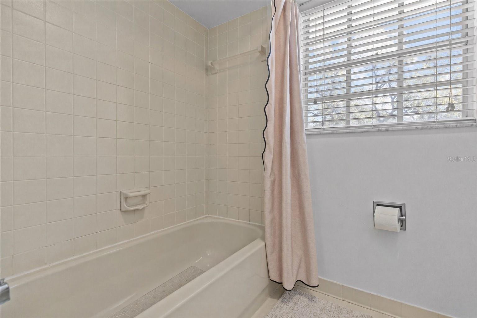 Image 30 of 45 For 5203 Bayshore Boulevard 14