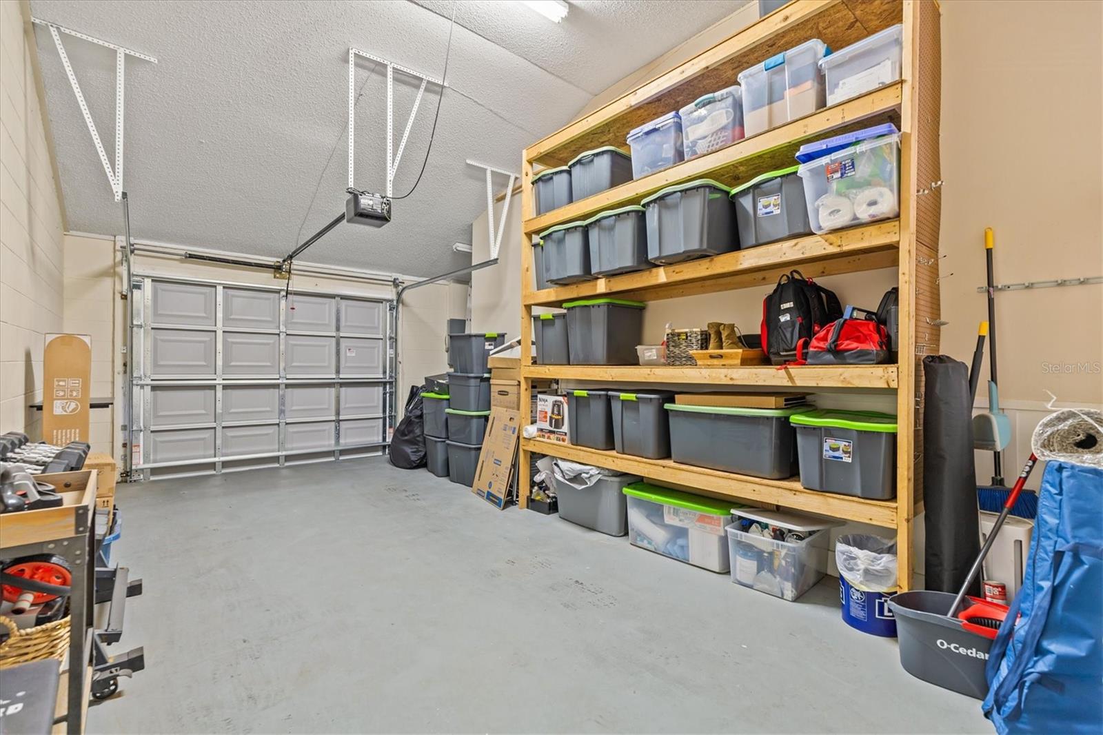 Image 40 of 45 For 5203 Bayshore Boulevard 14