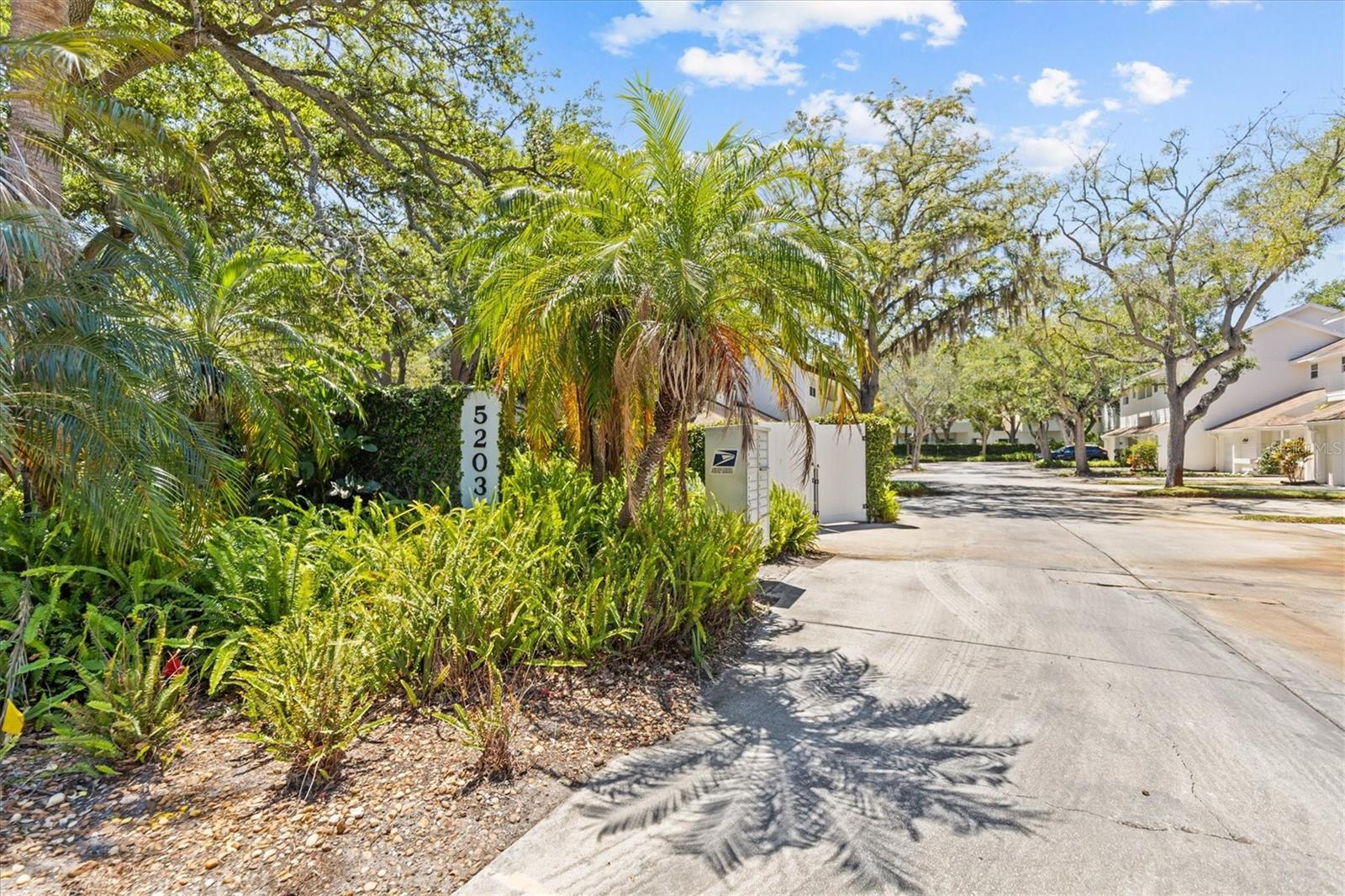 Image 42 of 45 For 5203 Bayshore Boulevard 14