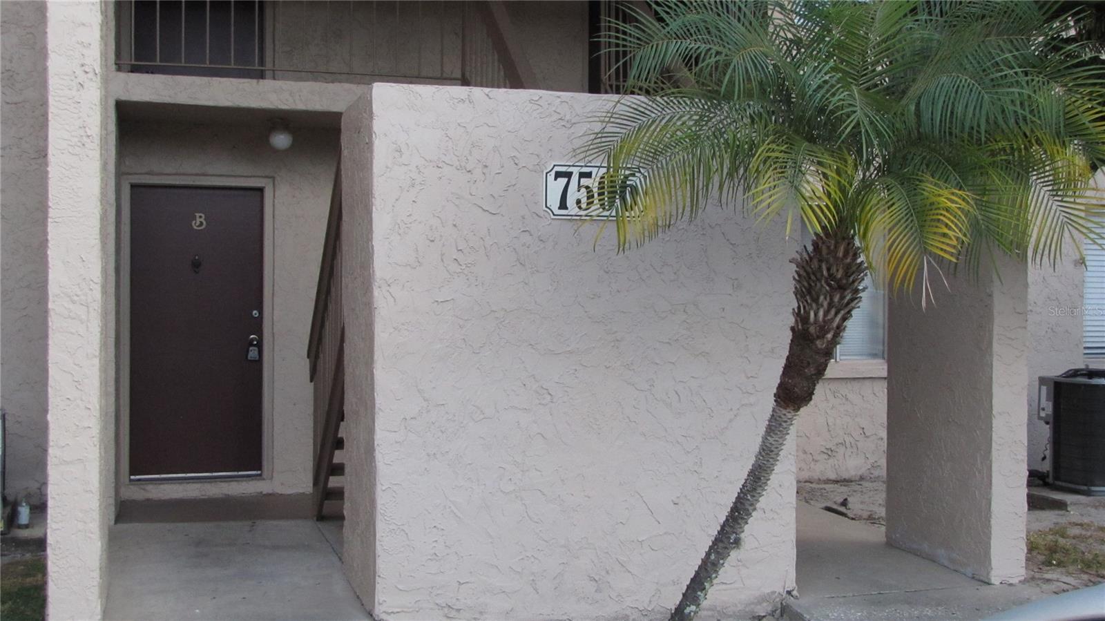 Details for 7506 Needle Leaf Place 56, TAMPA, FL 33617