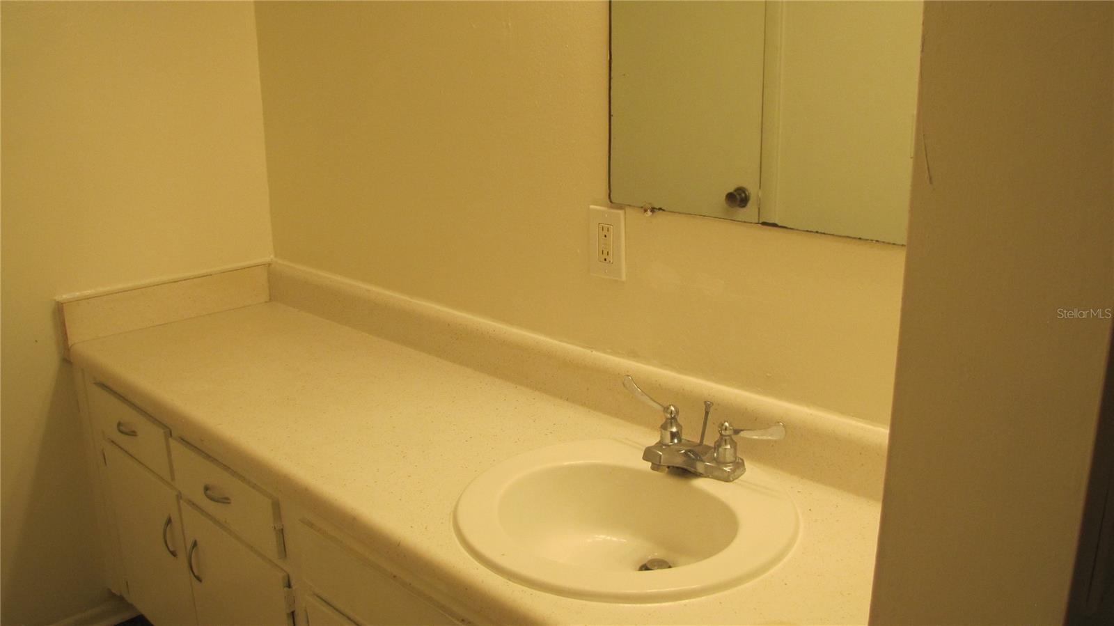 Image 8 of 12 For 7506 Needle Leaf Place 56