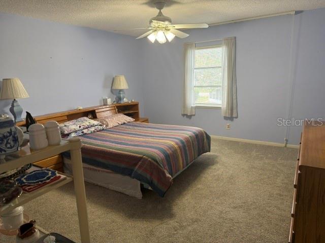 Image 24 of 59 For 3223 38th Way S F