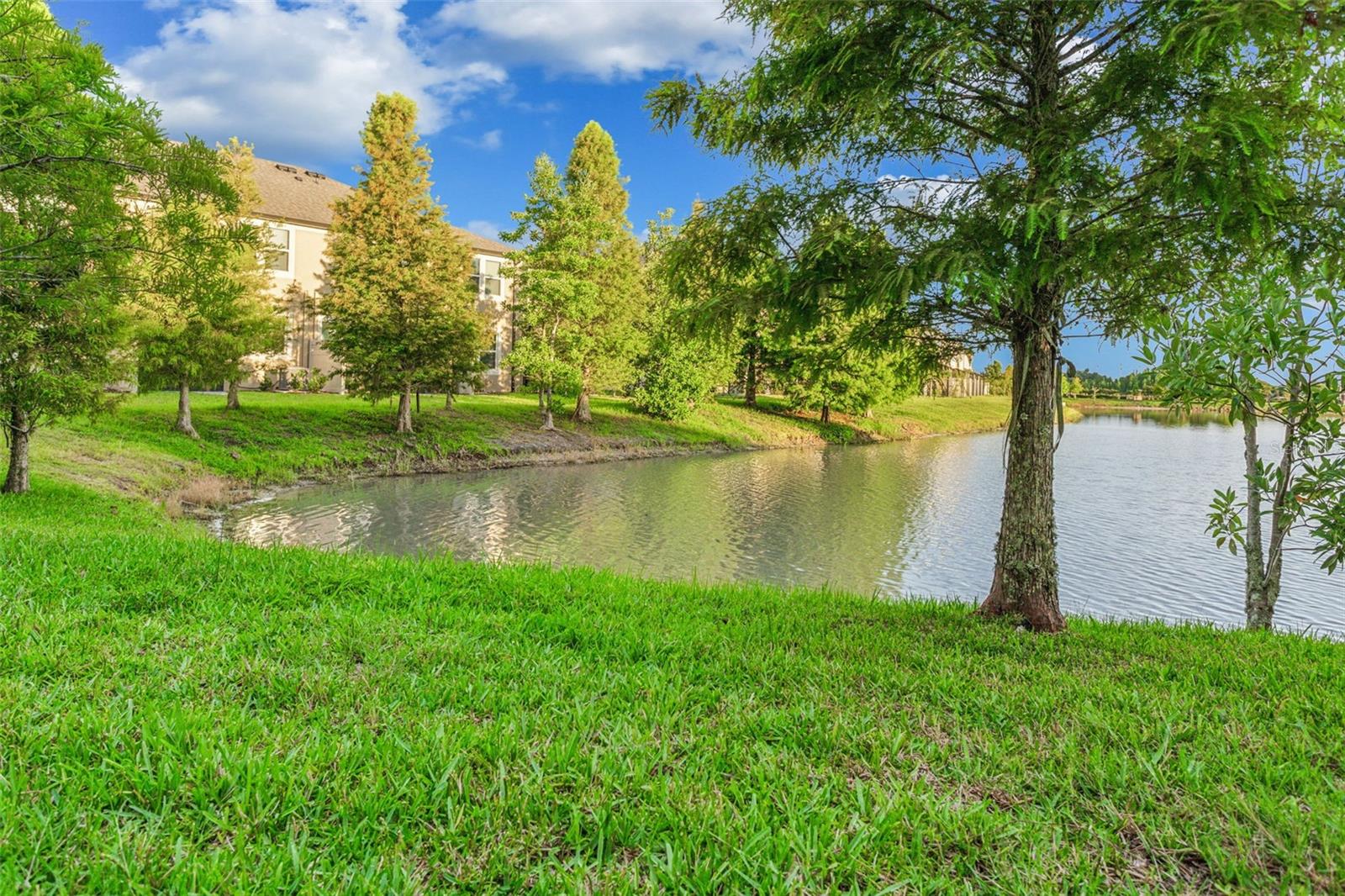 Image 32 of 46 For 29922 Southwell Lane