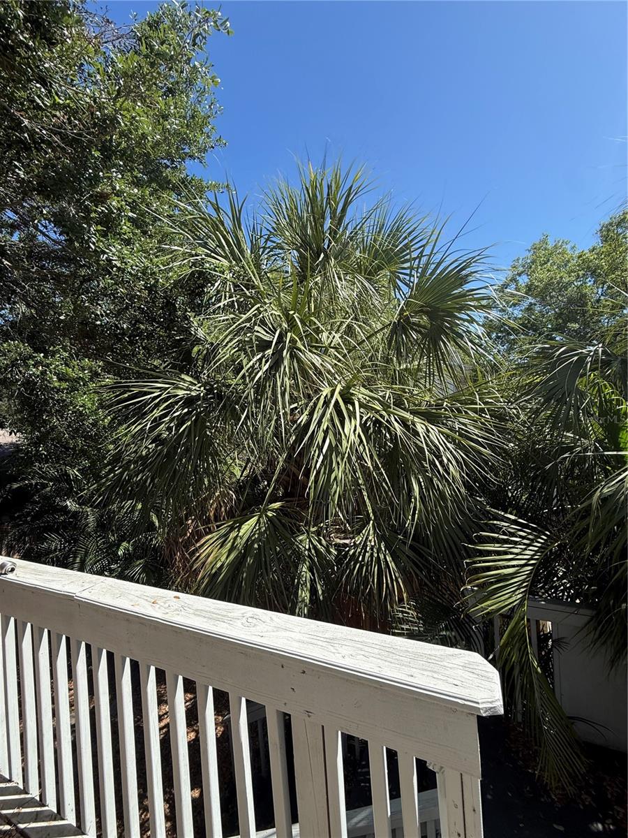 Image 10 of 14 For 345 22nd Avenue S B