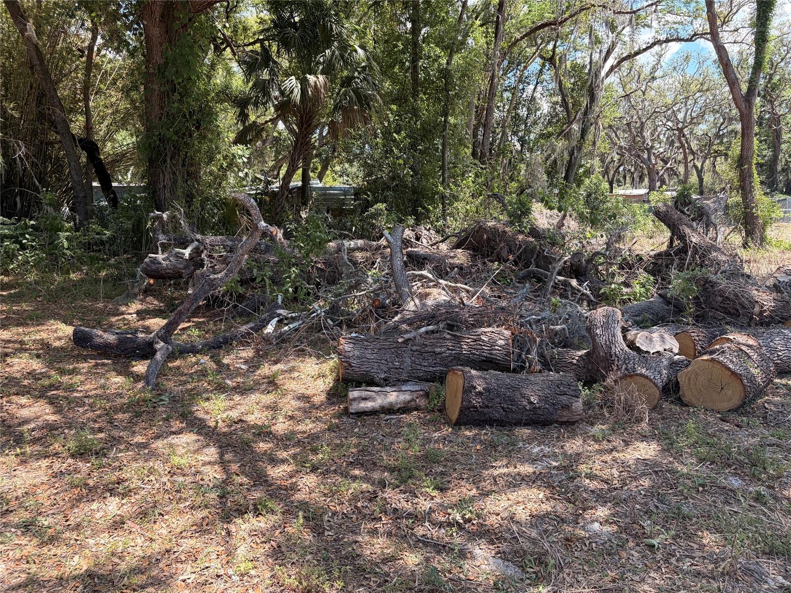 Image 4 of 7 For  Hicks Road  