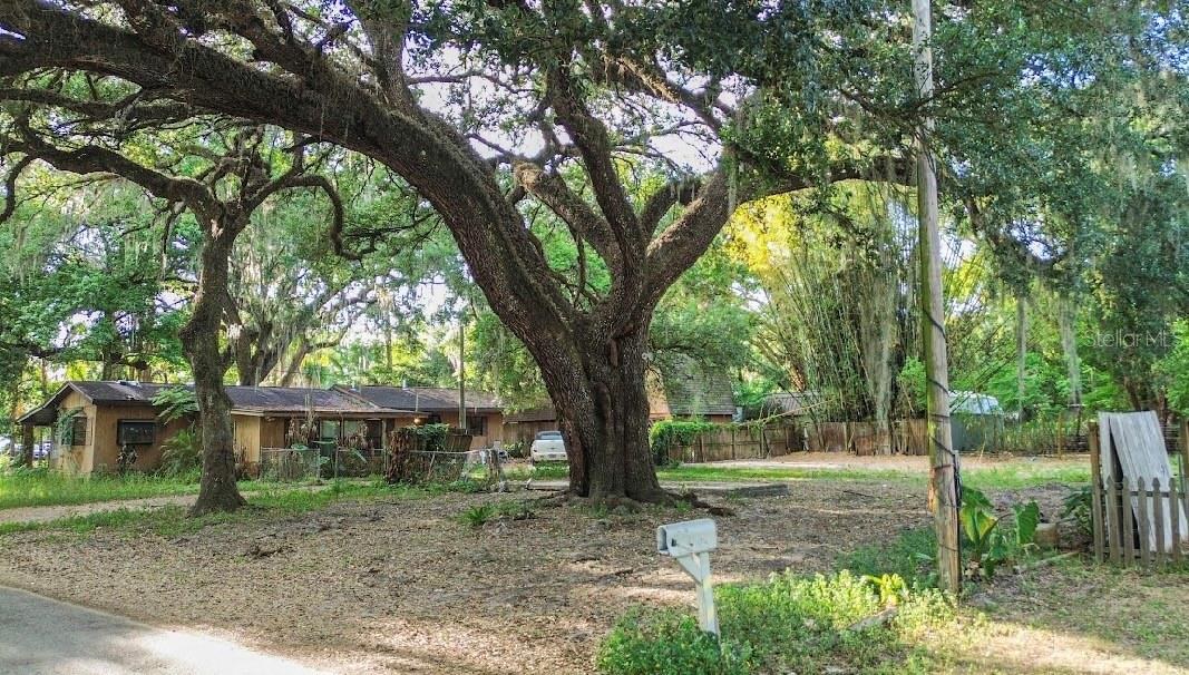 Image 11 of 15 For 38319 Stebbins Avenue