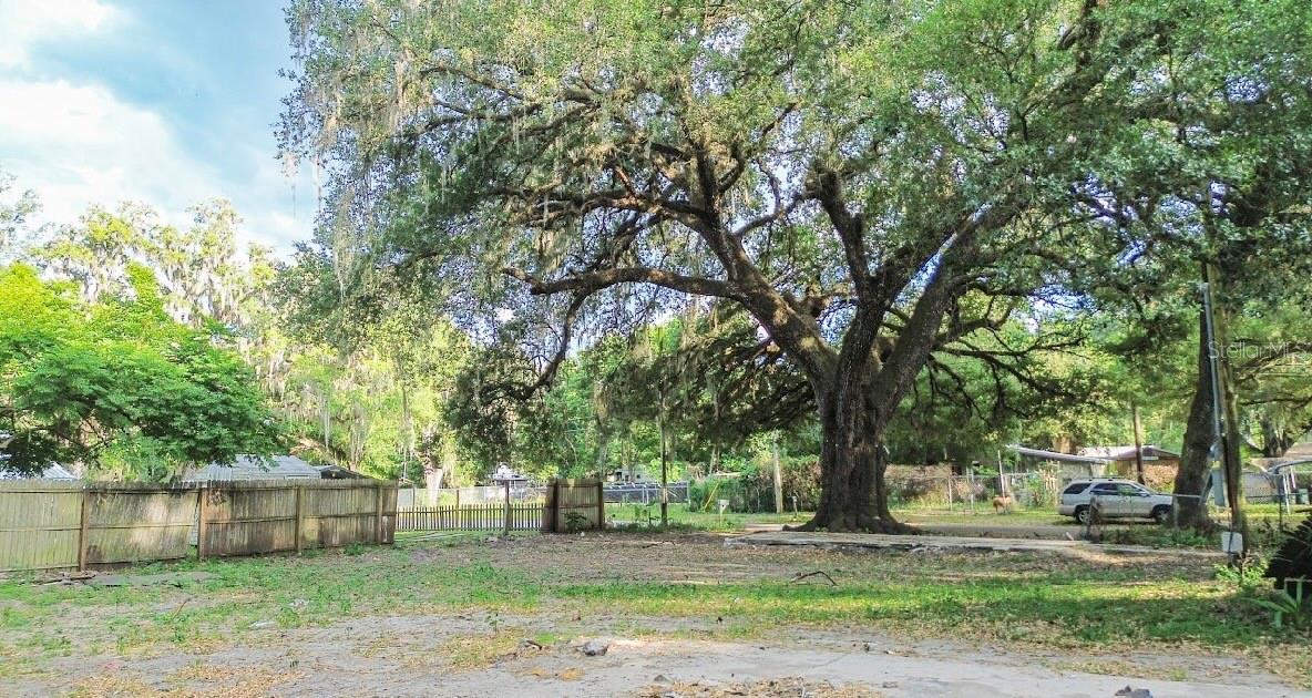 Image 12 of 15 For 38319 Stebbins Avenue