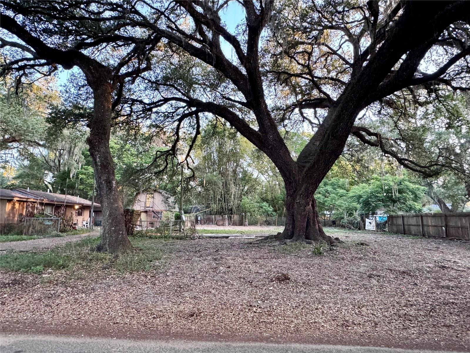 Image 15 of 15 For 38319 Stebbins Avenue