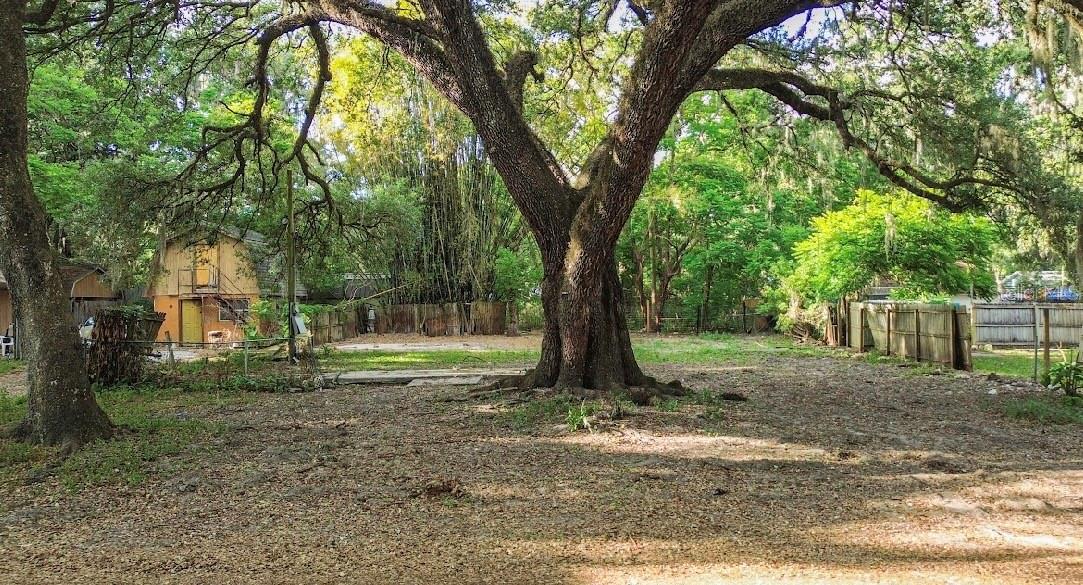 Image 5 of 15 For 38319 Stebbins Avenue