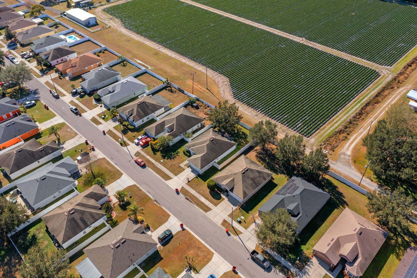 Image 12 of 15 For 3609 Trapnell Grove Loop