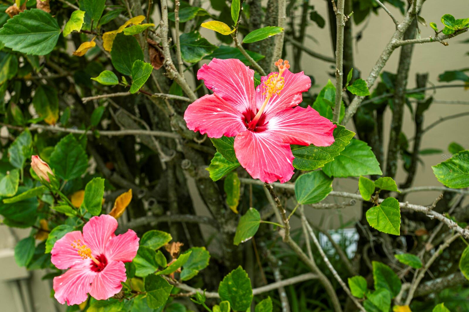 Image 49 of 50 For 6211 Iroquois Court