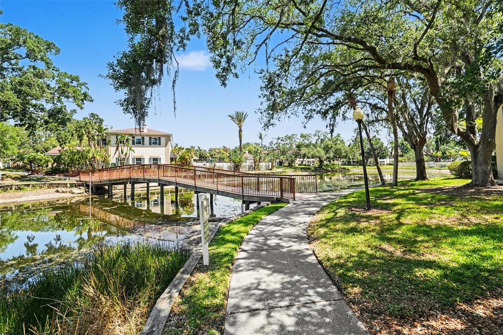 Image 25 of 31 For 10346 Carrollwood Lane 178