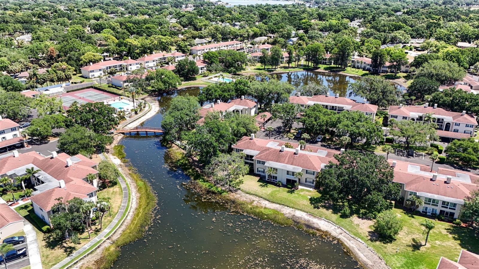 Image 26 of 31 For 10346 Carrollwood Lane 178