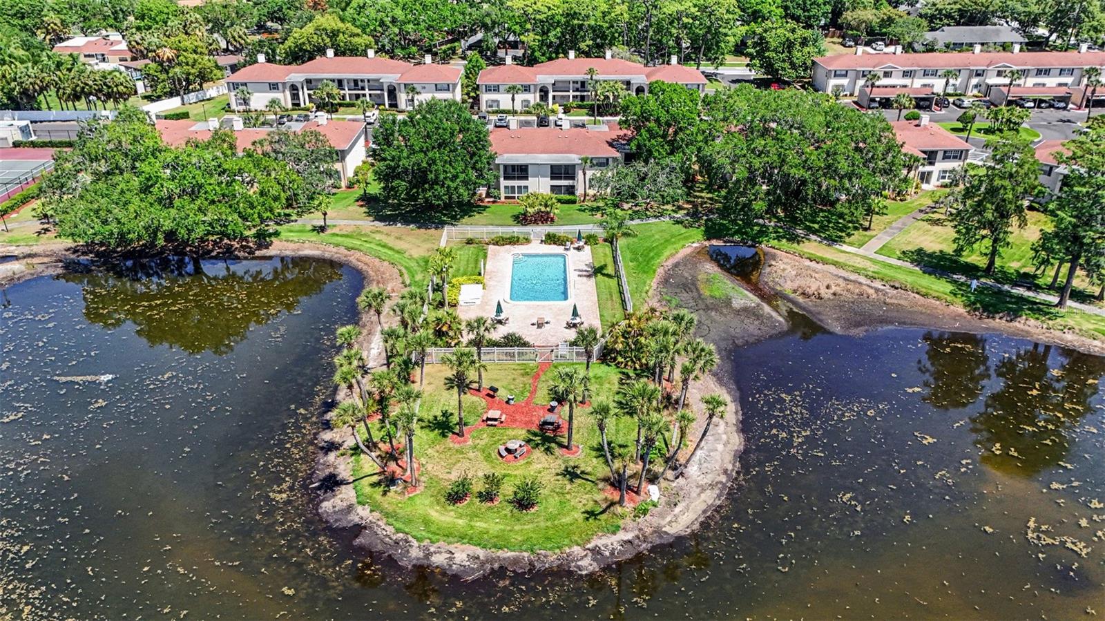 Image 27 of 31 For 10346 Carrollwood Lane 178