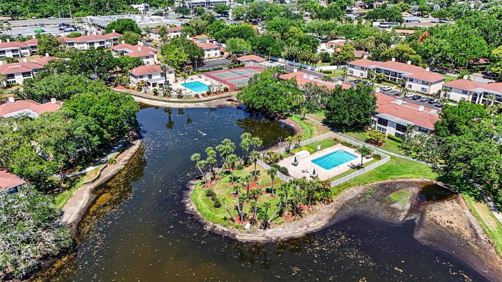 Image 28 of 31 For 10346 Carrollwood Lane 178