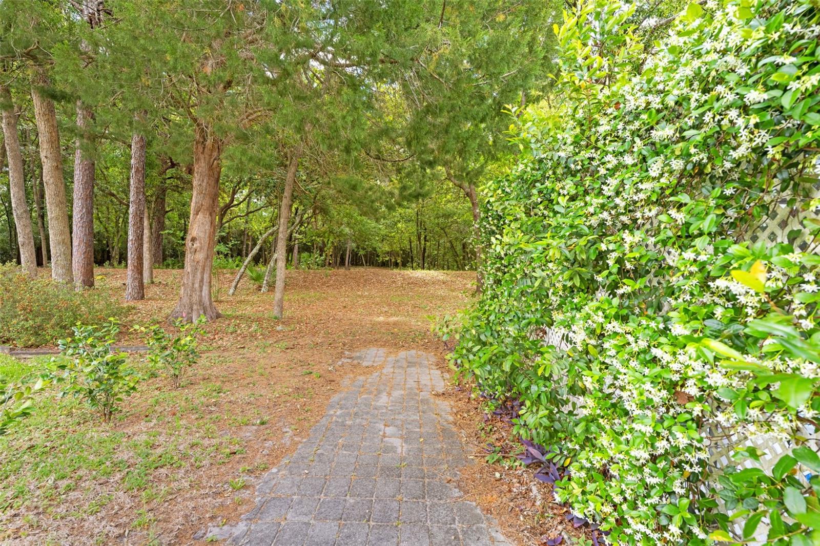 Image 36 of 56 For 5 Chinkapin Circle