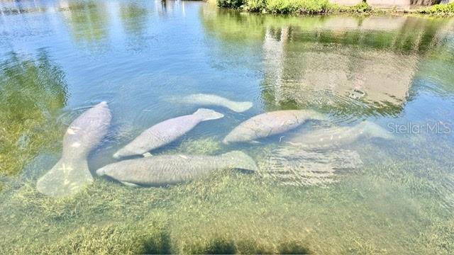 Image 2 of 43 For 6448 Richard Drive