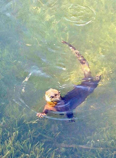 Image 20 of 43 For 6448 Richard Drive