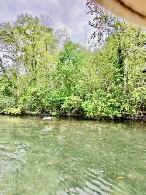 Image 31 of 43 For 6448 Richard Drive