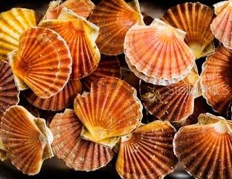 Image 32 of 43 For 6448 Richard Drive