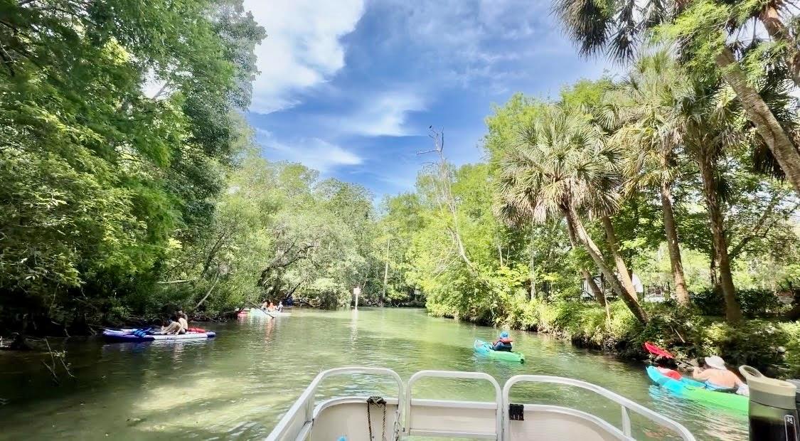 Image 35 of 43 For 6448 Richard Drive