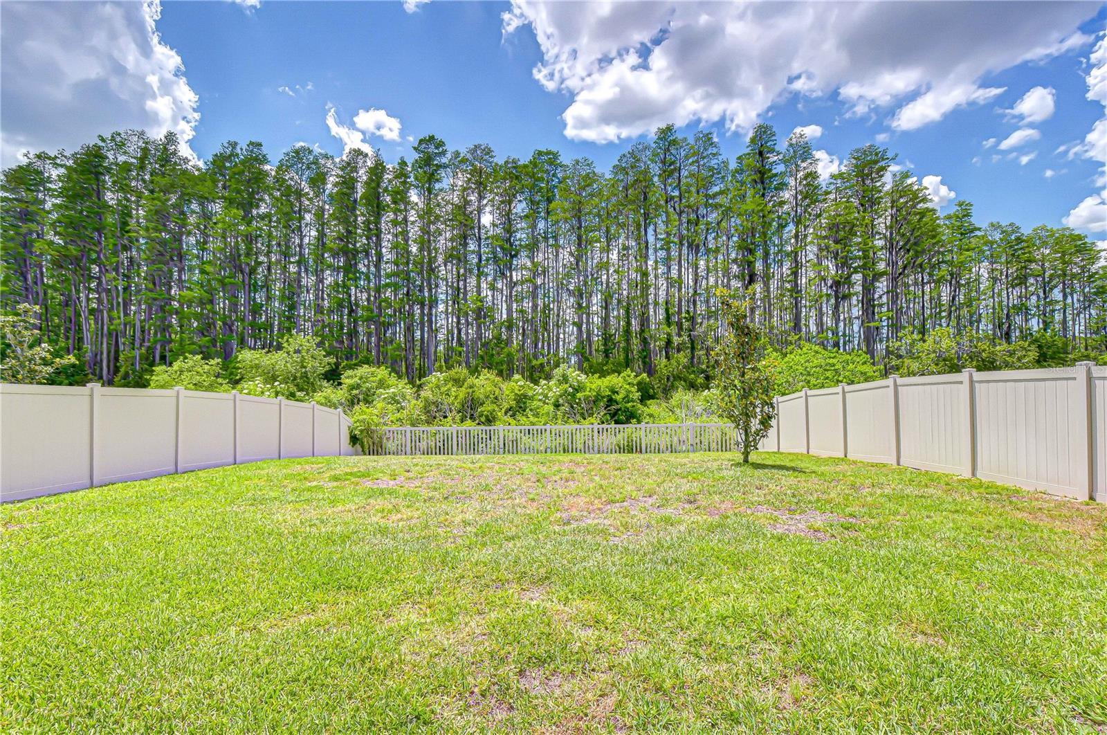 Image 43 of 54 For 20978 Monza Loop