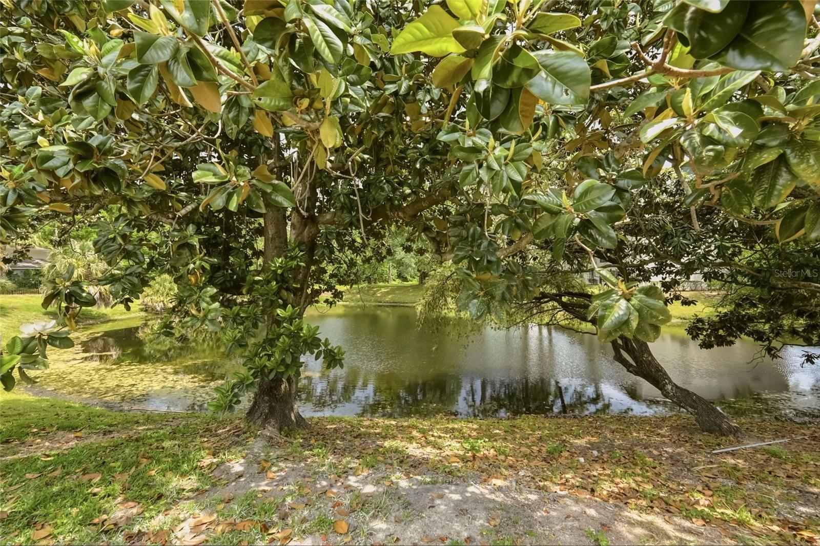 Image 36 of 38 For 2643 Burntfork Drive