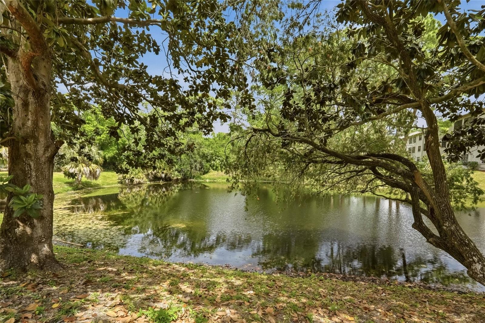 Image 37 of 38 For 2643 Burntfork Drive