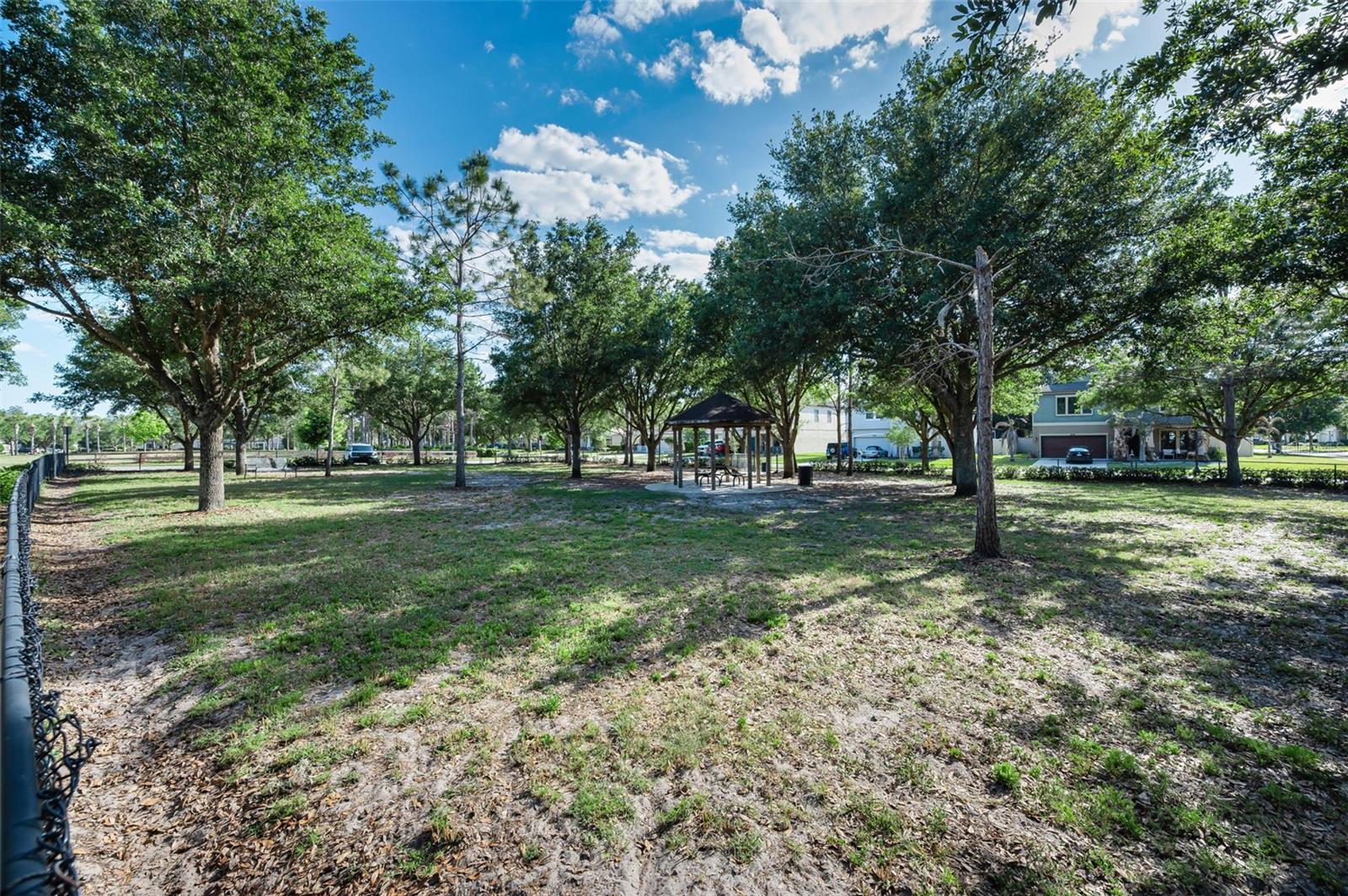 Image 79 of 100 For 8449 Bluevine Sky Drive