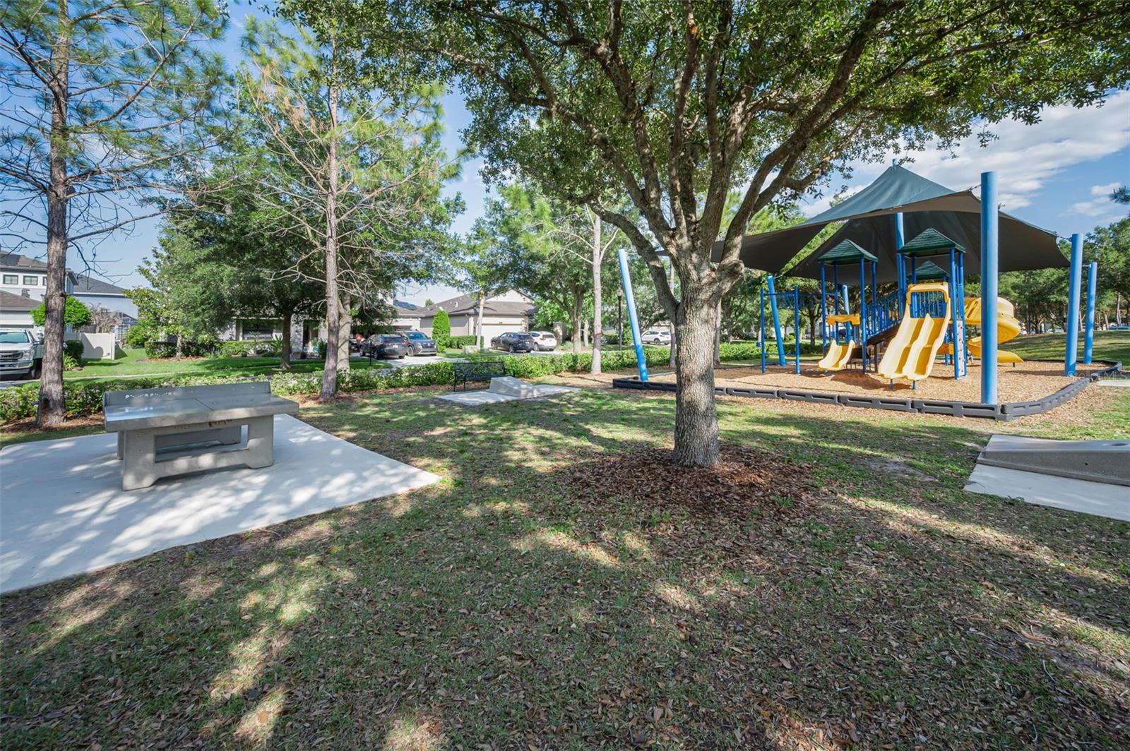 Image 86 of 100 For 8449 Bluevine Sky Drive