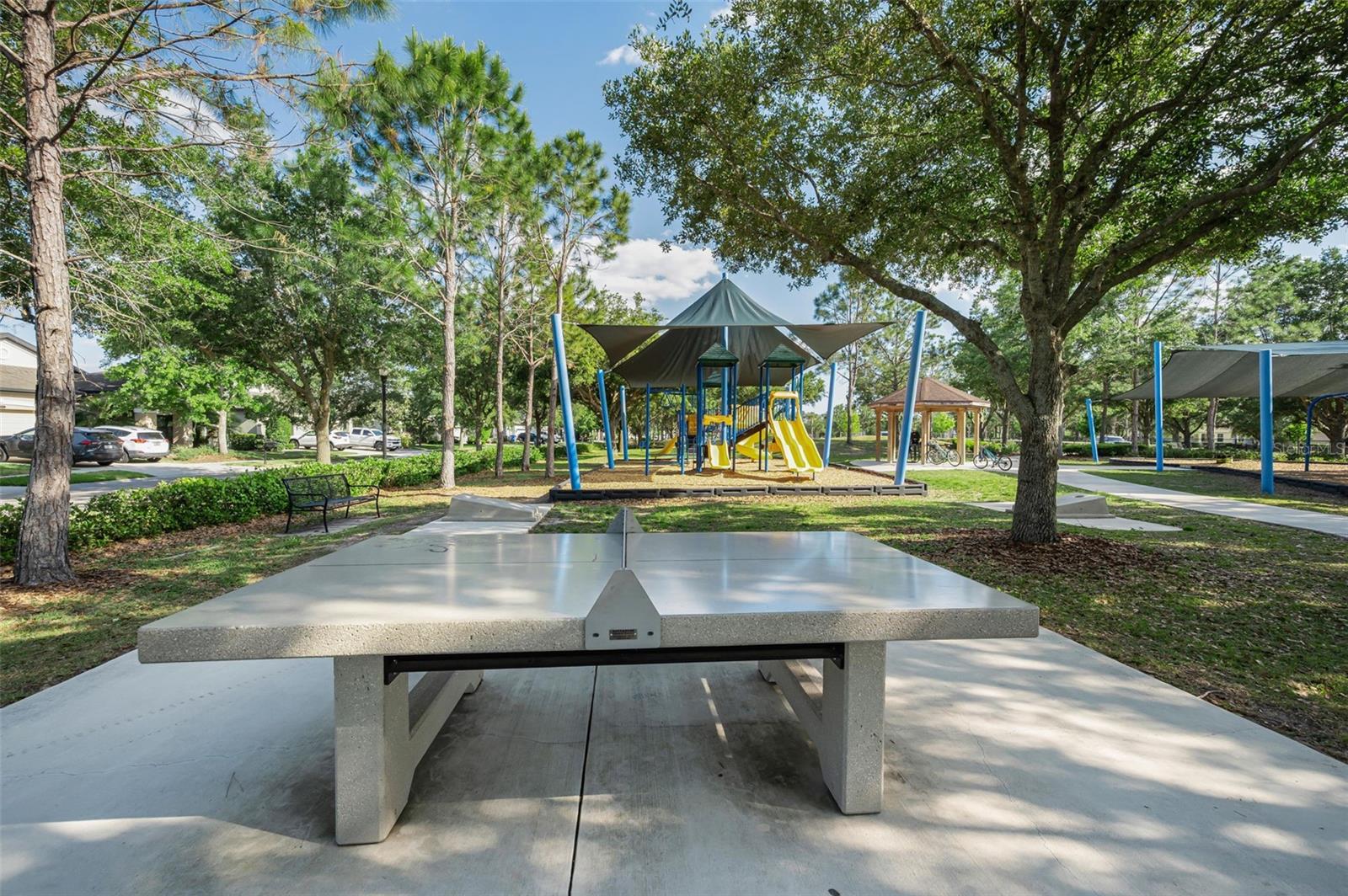 Image 88 of 100 For 8449 Bluevine Sky Drive