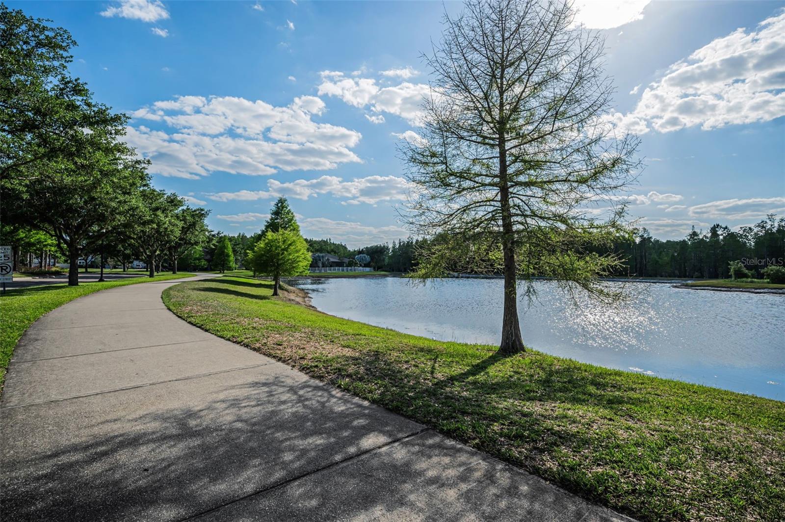 Image 92 of 100 For 8449 Bluevine Sky Drive