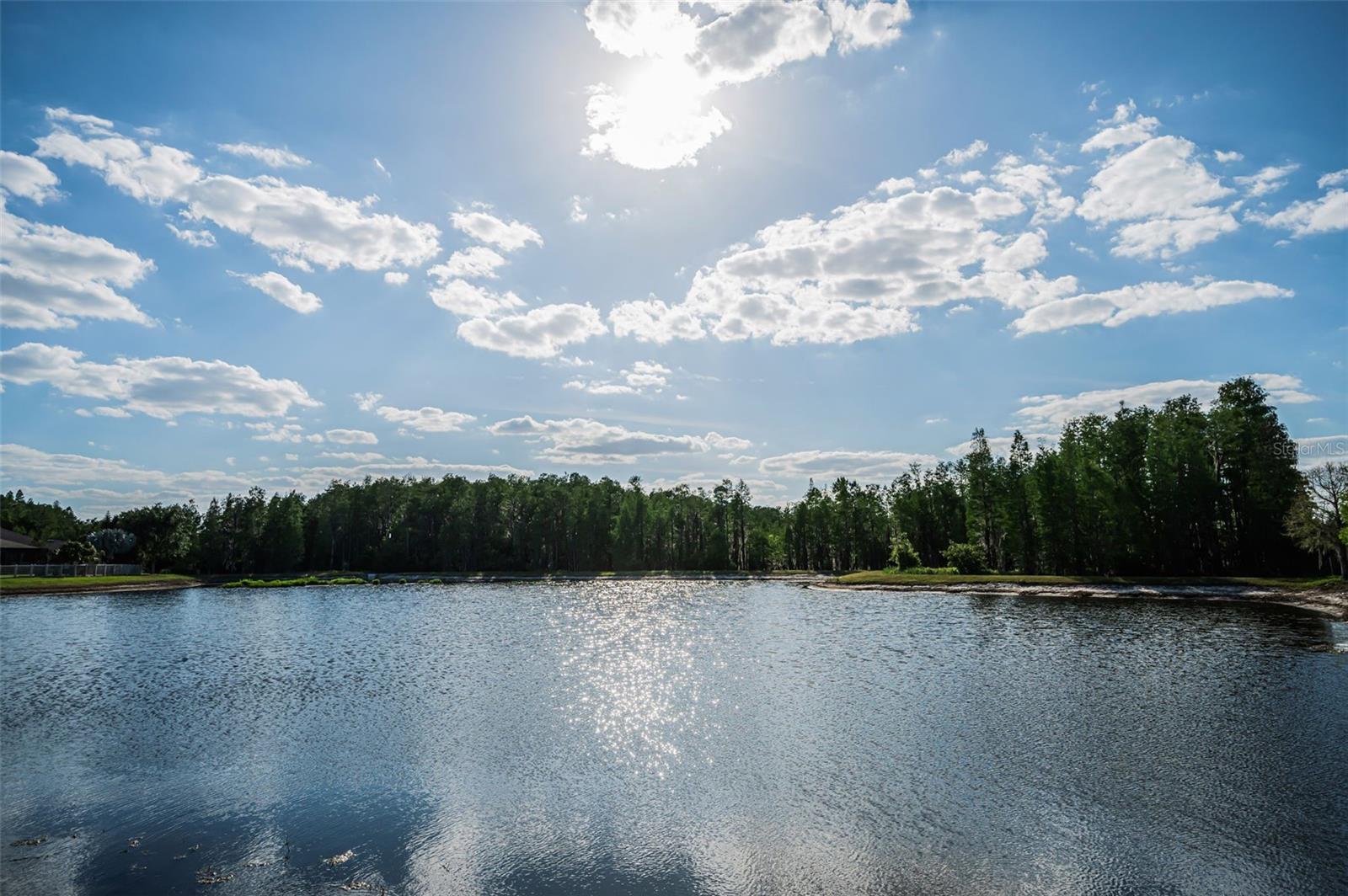 Image 93 of 100 For 8449 Bluevine Sky Drive