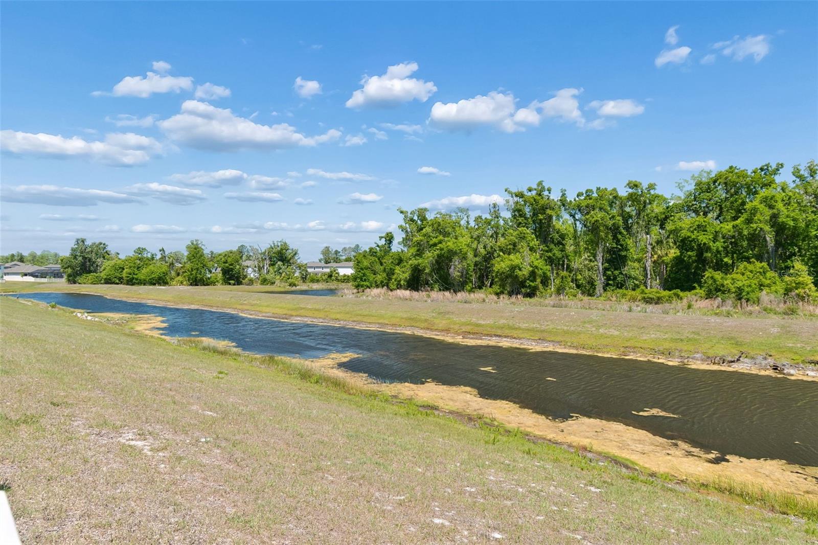 Image 76 of 100 For 17647 Cortes Creek Boulevard