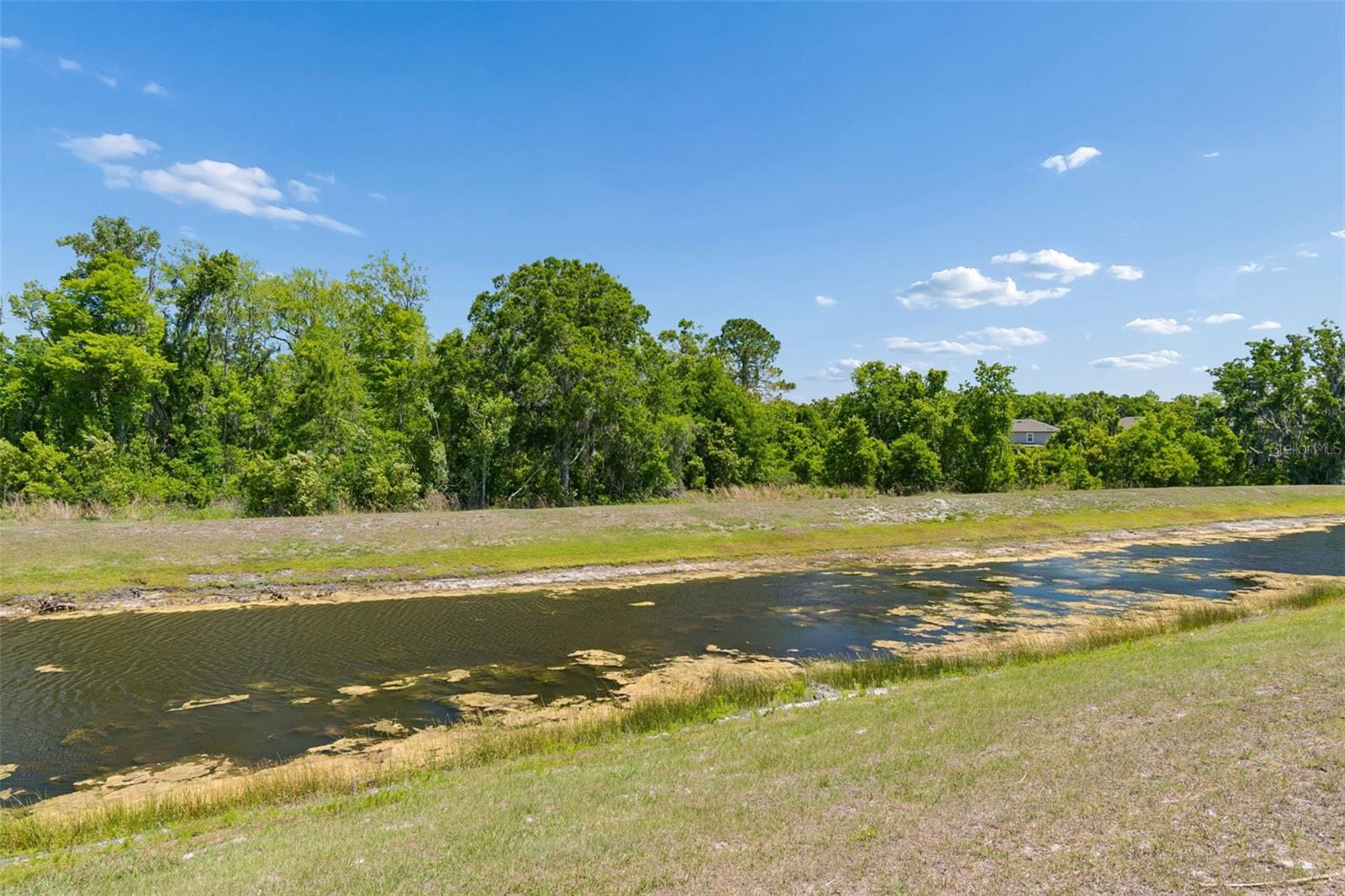 Image 77 of 100 For 17647 Cortes Creek Boulevard