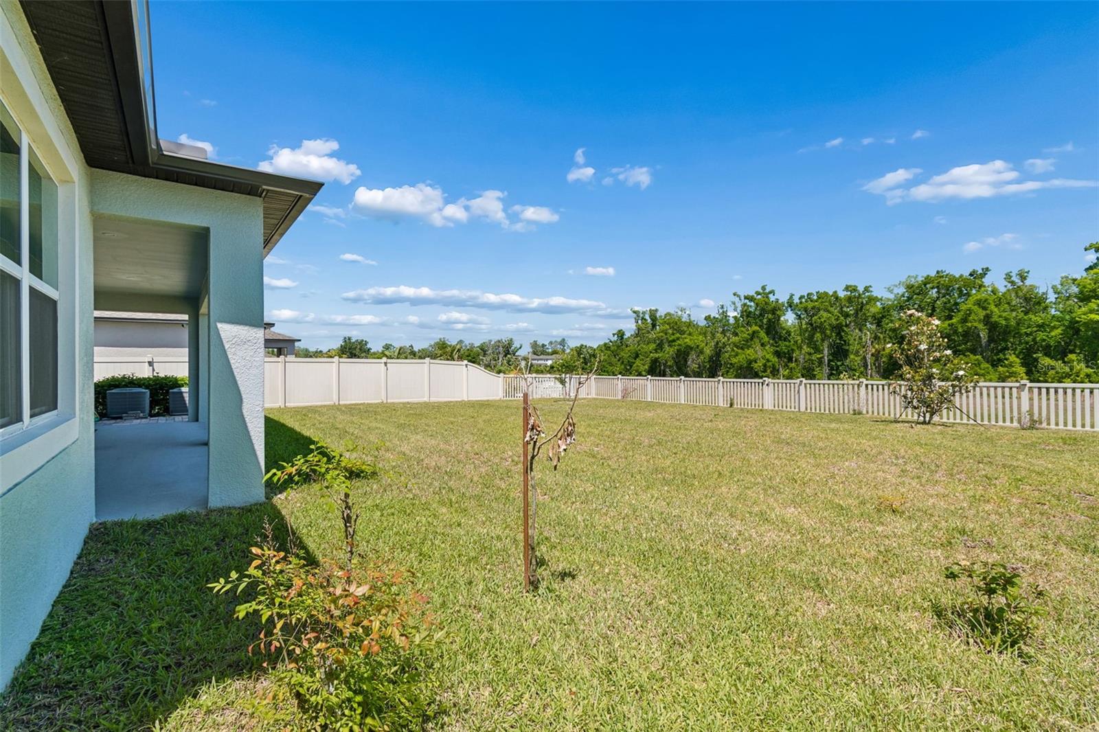 Image 78 of 100 For 17647 Cortes Creek Boulevard