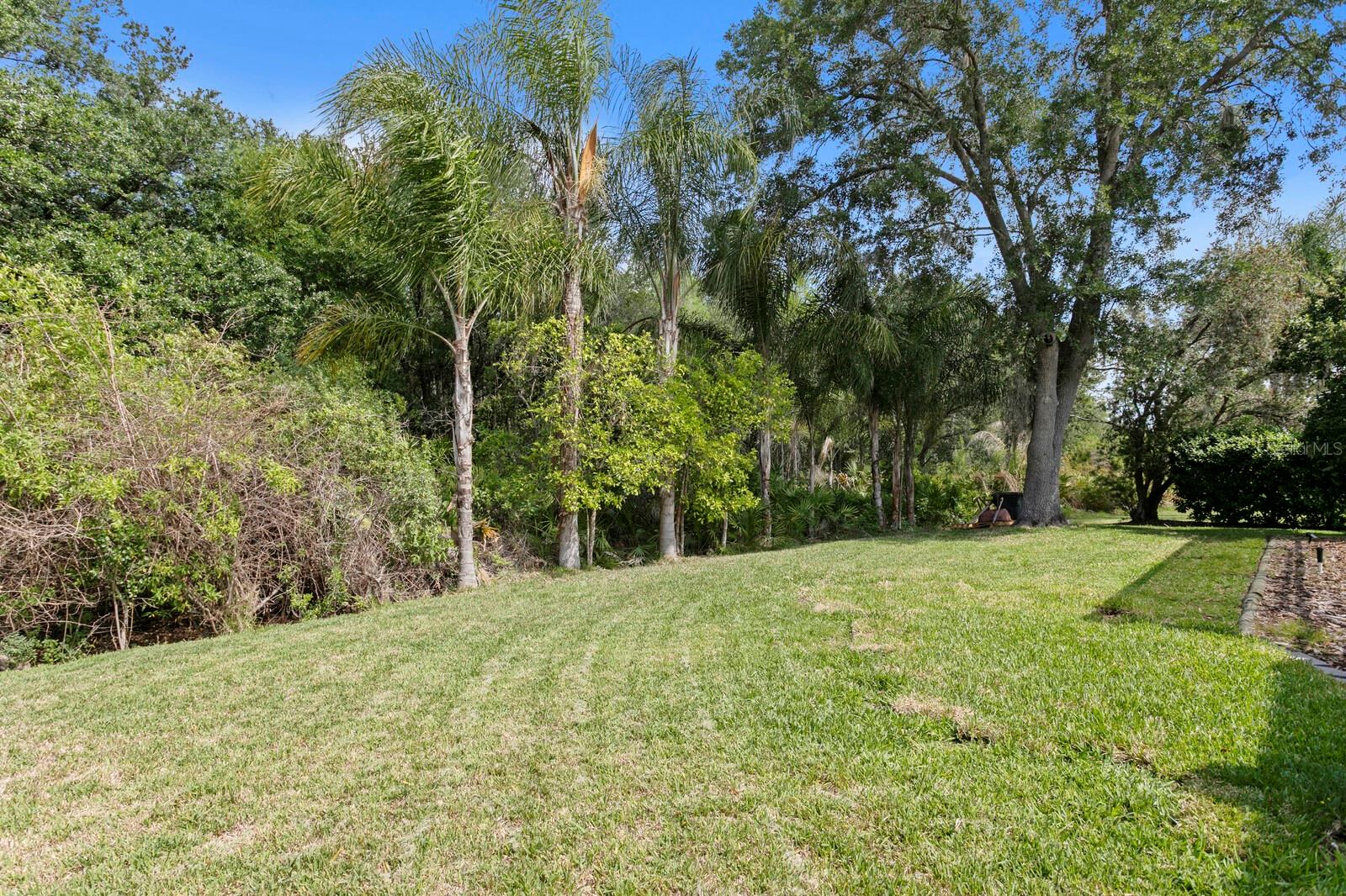 Image 38 of 62 For 17888 Arbor Greene Drive