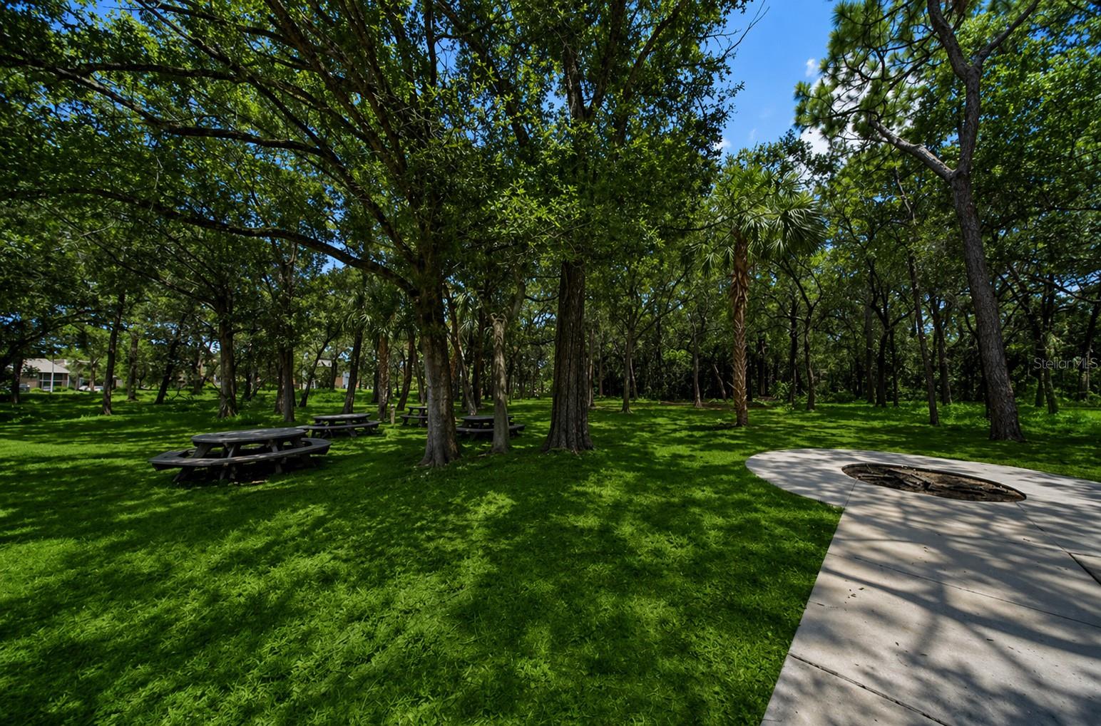 Image 68 of 80 For 1400 Gandy Boulevard N 207