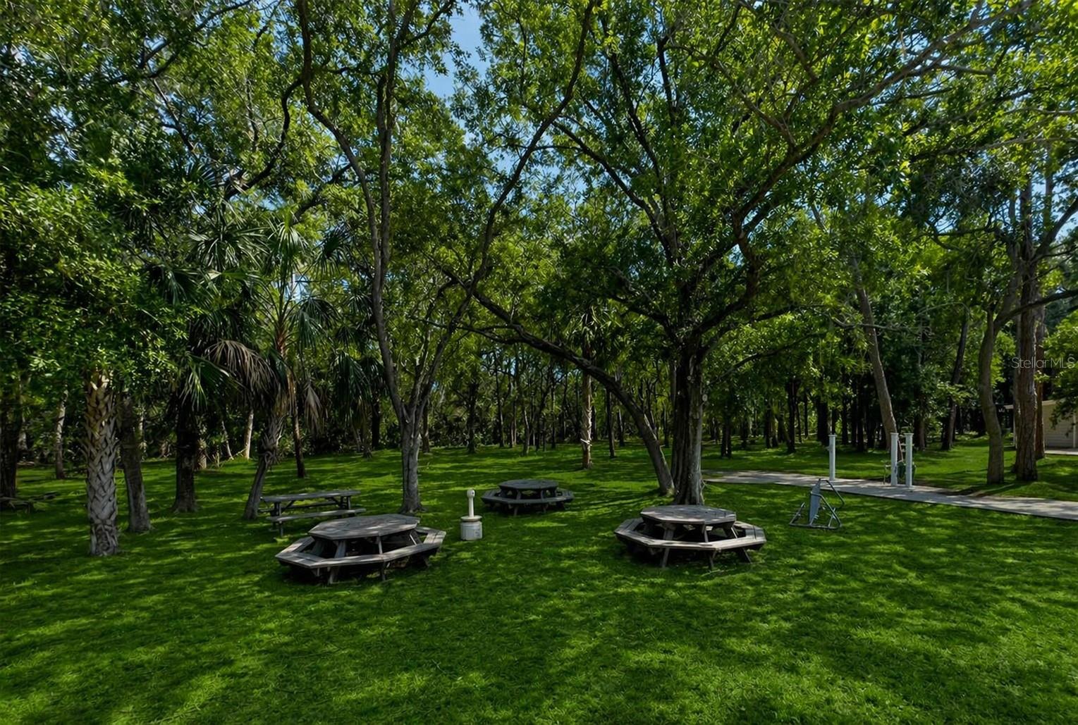 Image 69 of 80 For 1400 Gandy Boulevard N 207