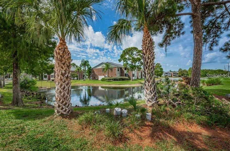 Image 75 of 80 For 1400 Gandy Boulevard N 207