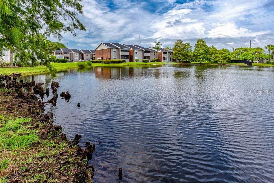 Image 76 of 80 For 1400 Gandy Boulevard N 207