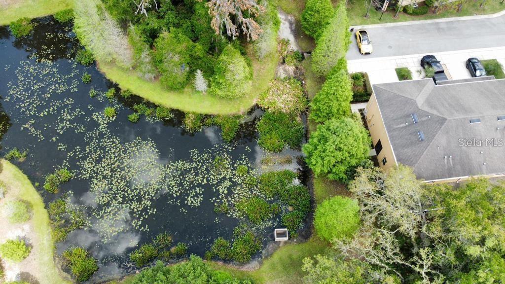 Image 6 of 16 For 8301 Pine River Road