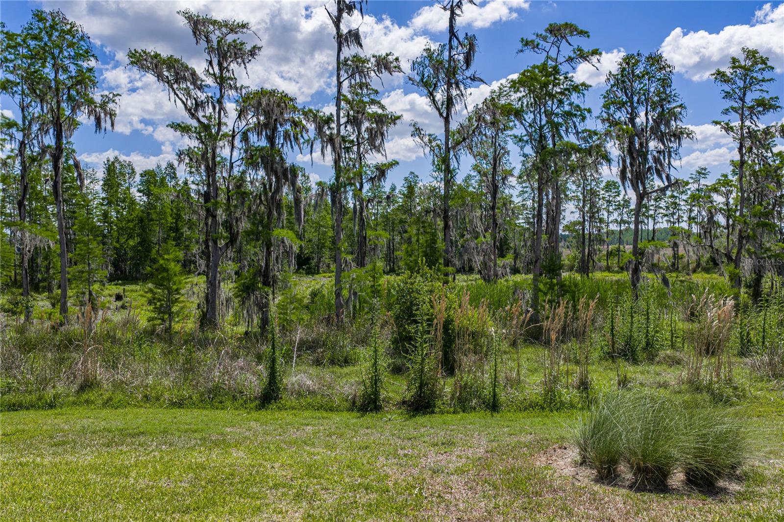 Image 4 of 96 For 6041 Shorebird Branch
