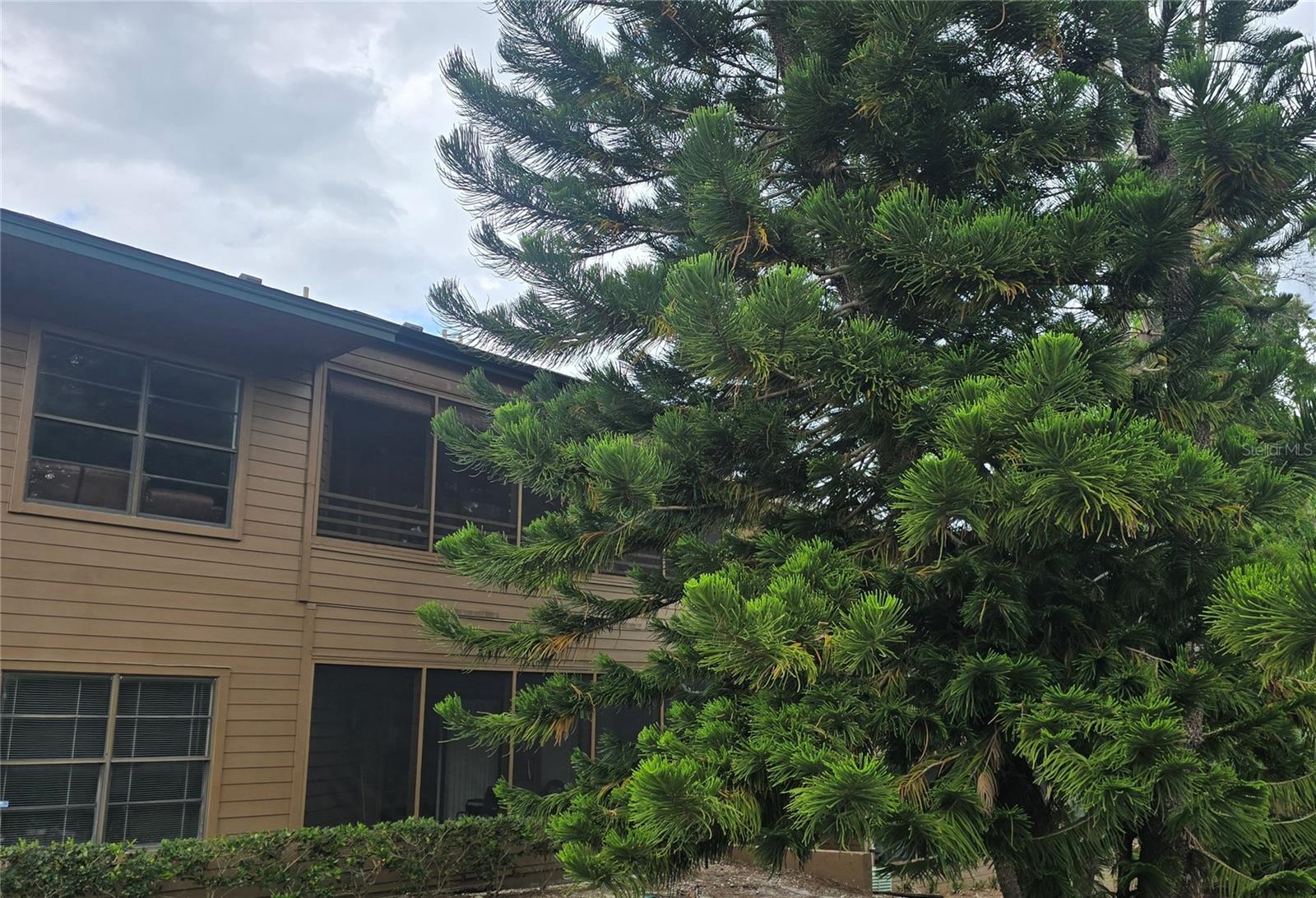 Details for 406 Lennox Road W, PALM HARBOR, FL 34683