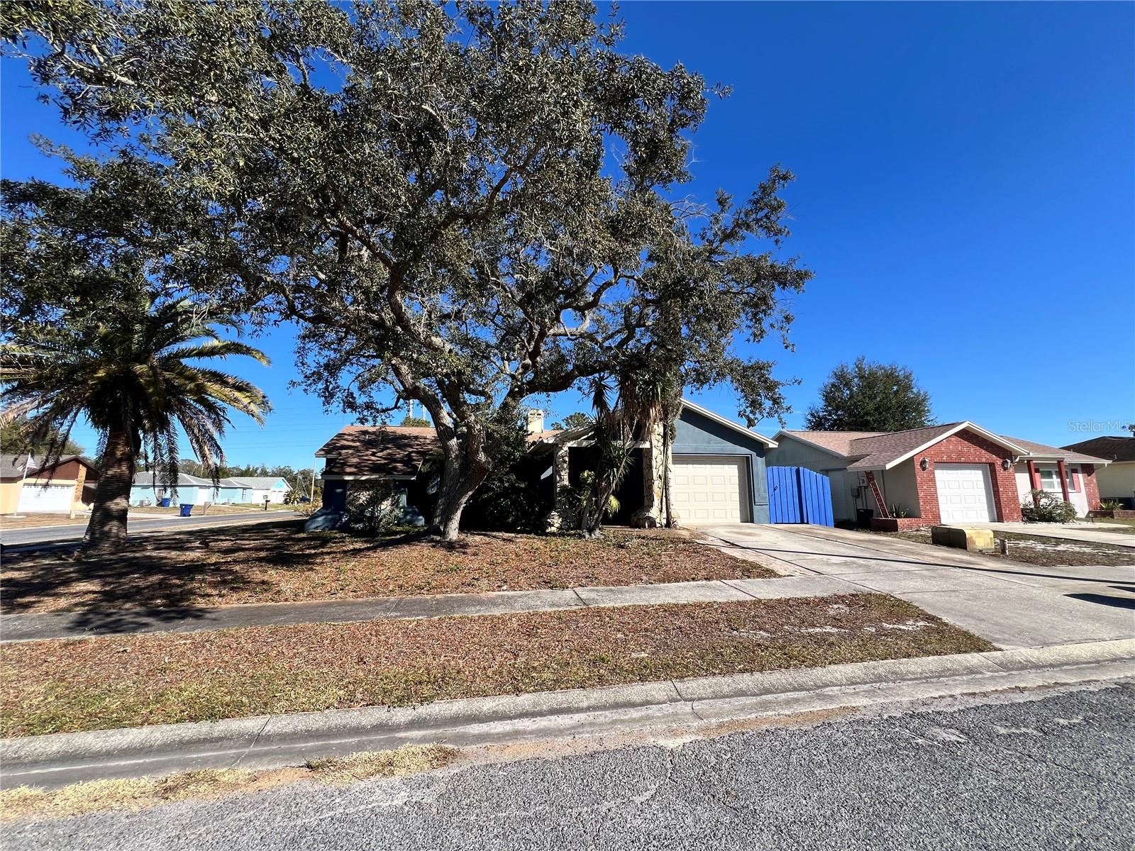 Details for 1338 Calamondin Drive, HOLIDAY, FL 34691