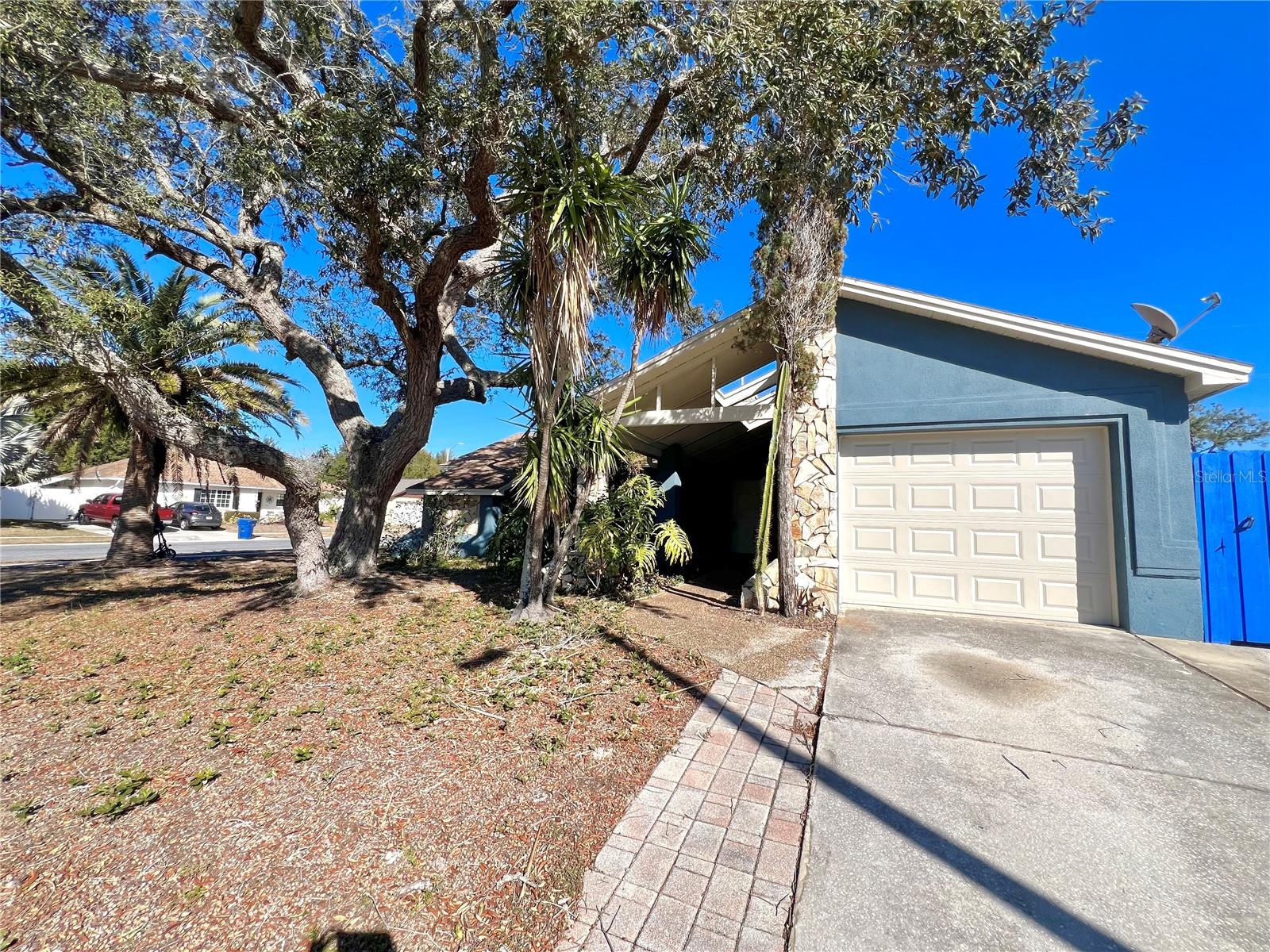 Image 2 of 19 For 1338 Calamondin Drive